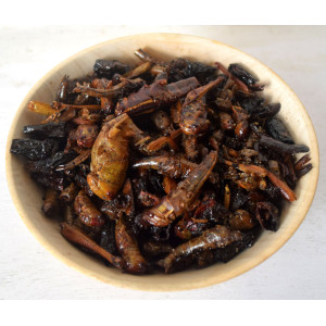Naga Delicacies Fried Grasshoppers 50GM - Kheti Culture 
